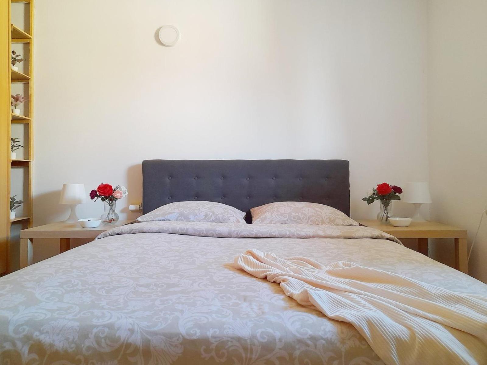 בלגרד Apartman As מראה חיצוני תמונה